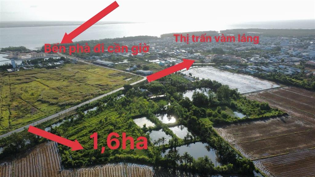 Cần bán 1,6ha đất mặt tiền đt 871b, thị trấn vàm láng cũ, ngay khu công nghiệp gia thuận 2