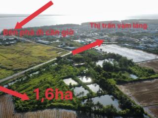 Cần bán 1,6ha đất mặt tiền đt 871b, thị trấn vàm láng cũ, ngay khu công nghiệp gia thuận 2