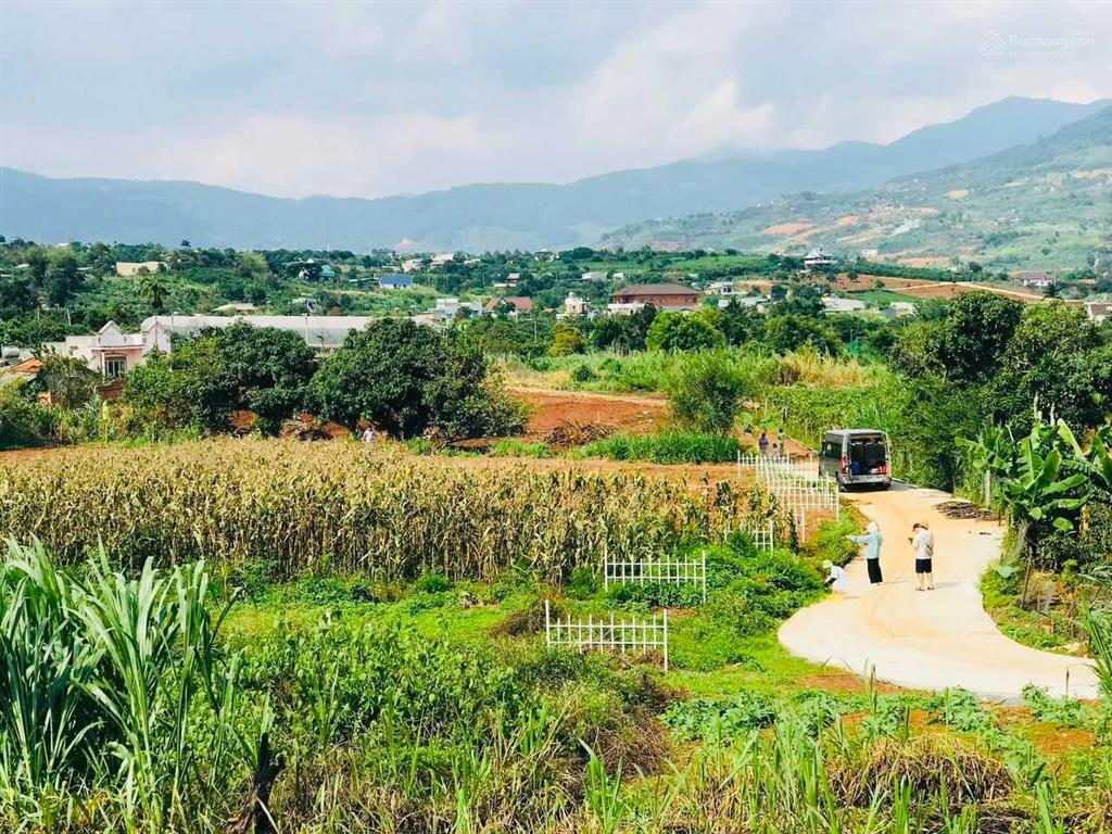 Thanh lý rẻ lô đông thanh cạnh homestay, giá chỉ 930 triệu, sẵn thổ cư