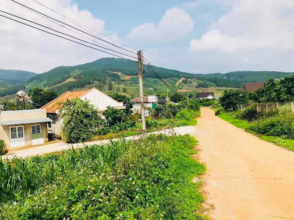 Thanh lý rẻ lô đông thanh cạnh homestay, giá chỉ 930 triệu, sẵn thổ cư