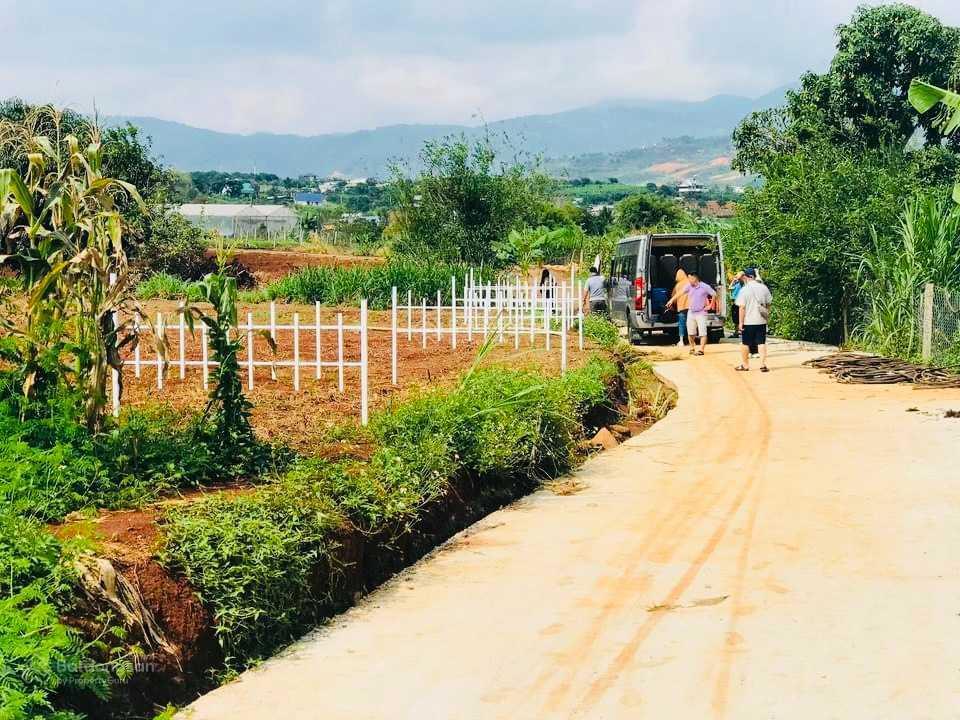 Thanh lý rẻ lô đông thanh cạnh homestay, giá chỉ 930 triệu, sẵn thổ cư