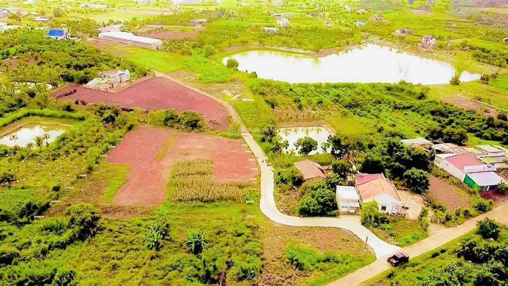 Thanh lý rẻ lô đông thanh cạnh homestay, giá chỉ 930 triệu, sẵn thổ cư