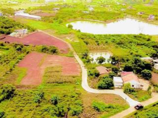 Thanh lý rẻ lô đông thanh cạnh homestay, giá chỉ 930 triệu, sẵn thổ cư