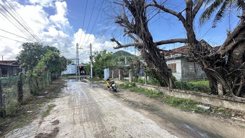 Đất đẹp vạn ninh  vân phong  khánh hoà. dt 880m2 ngang 14m (200m2 thổ). giá 3,9tỷ. cách biển 1km