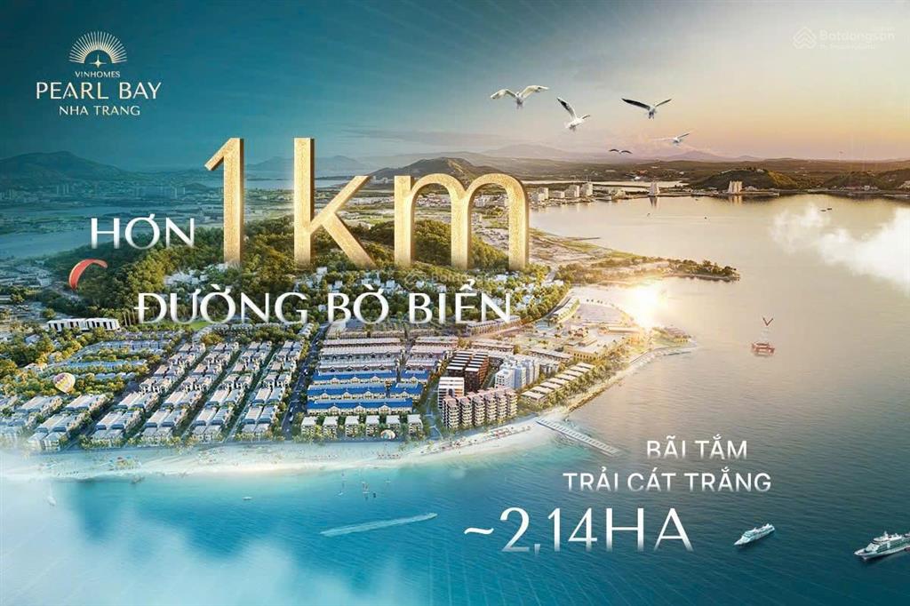 Bán 2 căn nhà liền kề 4 tầng cạnh trần phú, dự án vinhomes pearl bay nha trang. dt 200m2, ngang 10m