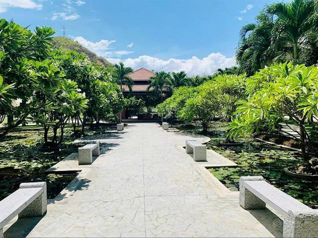 Lô biệt thự giáng hương, đường phong châu, phường nam nha trang. dt 275m2, ngang 12m. giá 28 tr/m2