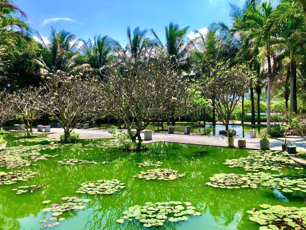Lô biệt thự giáng hương, đường phong châu, phường nam nha trang. dt 275m2, ngang 12m. giá 28 tr/m2