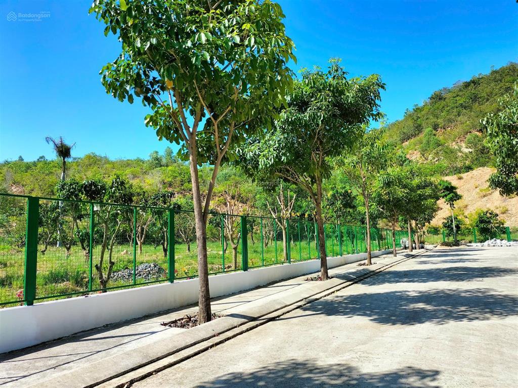 Lô biệt thự giáng hương, đường phong châu, phường nam nha trang. dt 275m2, ngang 12m. giá 28 tr/m2