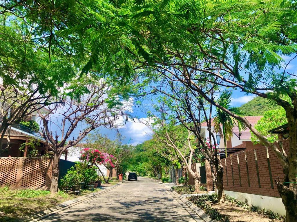 Lô biệt thự giáng hương, đường phong châu, phường nam nha trang. dt 275m2, ngang 12m. giá 28 tr/m2