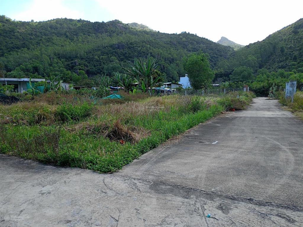 Bán lô góc vuông đẹp tại phước hạ, phước đồng, nha trang. dt gần 300m²(có sẵn 100m² thổ). giá 3,6tỷ