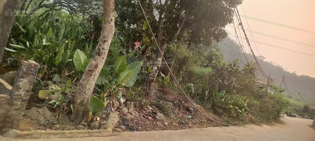 Cần bán nhanh đất cao phong chính chủ thiện chí bán giá tốt