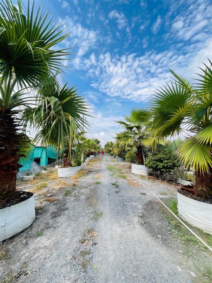 Bán 9000m2 đất thổ cư giá rẻ tại củ chi hồ chí minh, đất lớn thổ cư làm dự án củ chi hồ chí minh