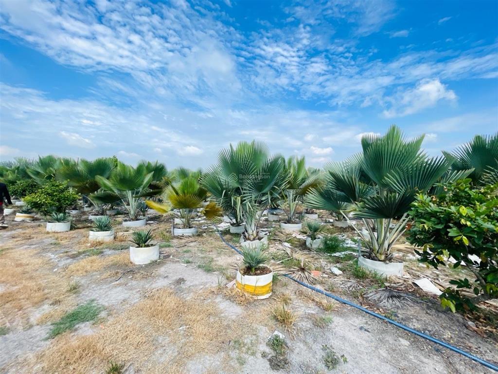 Bán 9000m2 đất thổ cư giá rẻ tại củ chi hồ chí minh, đất lớn thổ cư làm dự án củ chi hồ chí minh