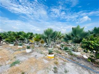 Bán 9000m2 đất thổ cư giá rẻ tại củ chi hồ chí minh, đất lớn thổ cư làm dự án củ chi hồ chí minh