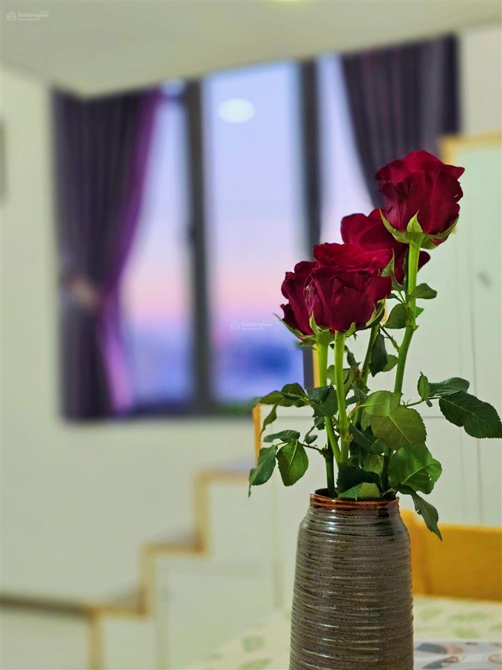 Cho thuê cc mini duplex, siêu đẹp tại âu cơ, tân bình. views kính chỉ 5,8 triệu, full nội thất.