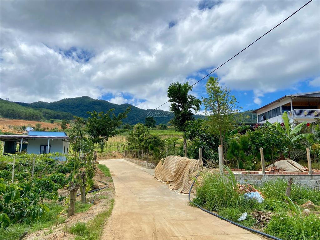 Bán đất đẹp view thung lũng xã đông thanh, lâm hà, lâm đồng