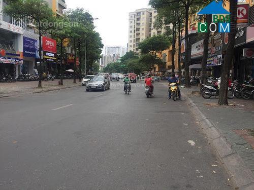 Chính chủ cho thuê biệt thự số 29a ngõ 20 trần kim xuyến, dt 300m², 5 tầng, lô góc có thang máy