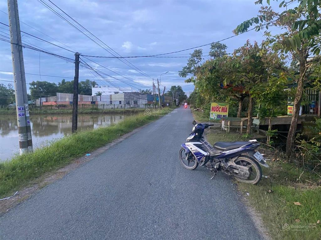 Chính chủ bán đất mặt tiền đường trần thị tám, phước lý, cần giuộc 730m² có thổ cư, giá 5.2 tỷ