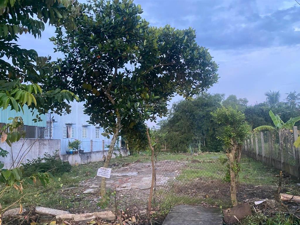 Chính chủ bán đất mặt tiền đường trần thị tám, phước lý, cần giuộc 730m² có thổ cư, giá 5.2 tỷ