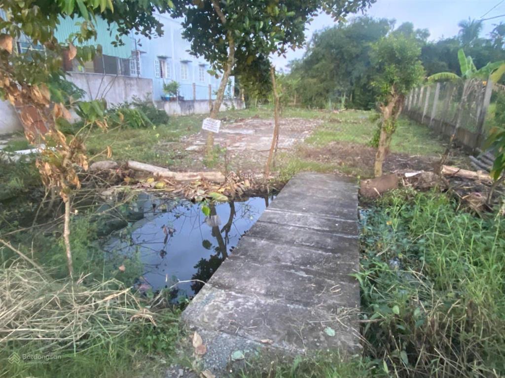 Chính chủ bán đất mặt tiền đường trần thị tám, phước lý, cần giuộc 730m² có thổ cư, giá 5.2 tỷ