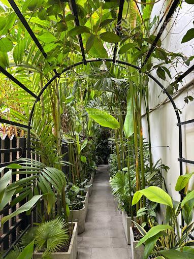 Cho thuê mt phạm ngọc thạch, gần điện biên phủ q3, 6x14m trệt 2 lầu st, giá 49tr, tel 0898 311 ***