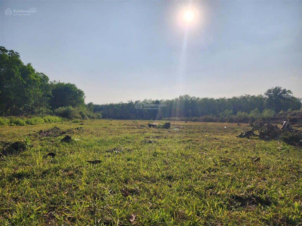 Bán đất khu dân cư 35x28m có 100m2 thổ cư, xã an viễn, trảng bom, đn  giá chỉ 2,5 tỷ