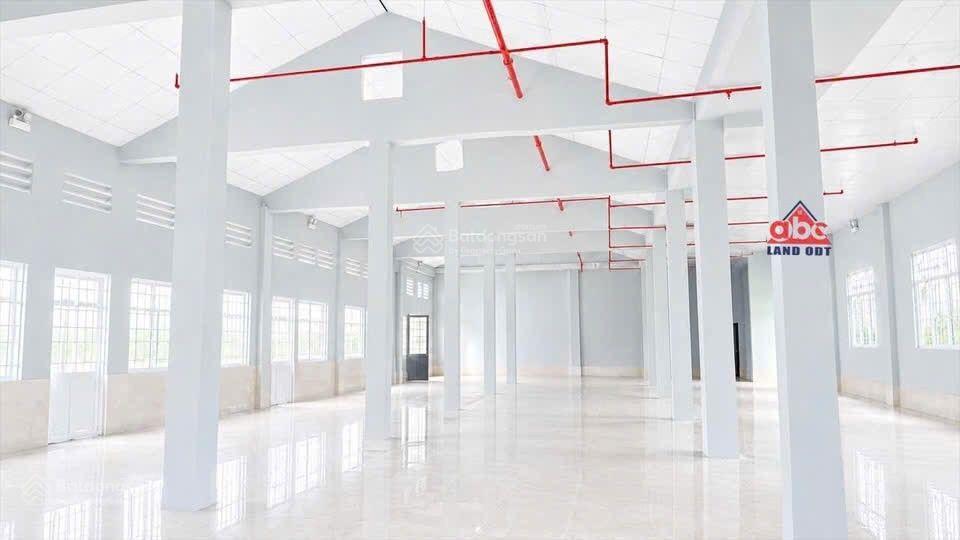 Cho thuê xưởng sx 1000m2, chỉ 79 tr/th, trong kcn nhơn trạch, tp. đồng nai