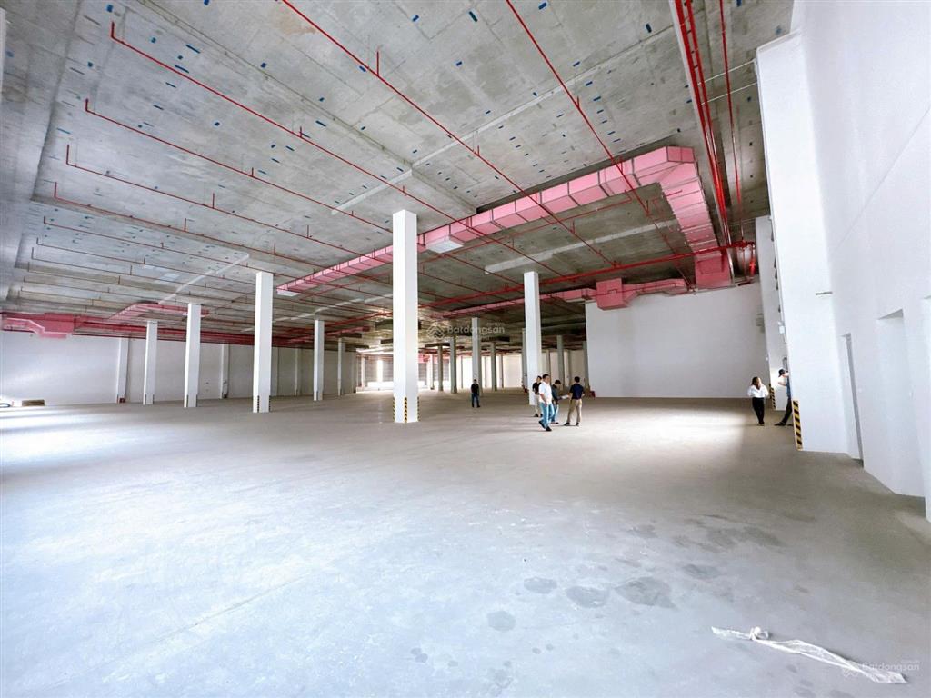 Cho thuê kho xưởng tổng 11.000m2. có cho thuê lẻ. pccc sprinkler tiêu chuẩn quốc tế