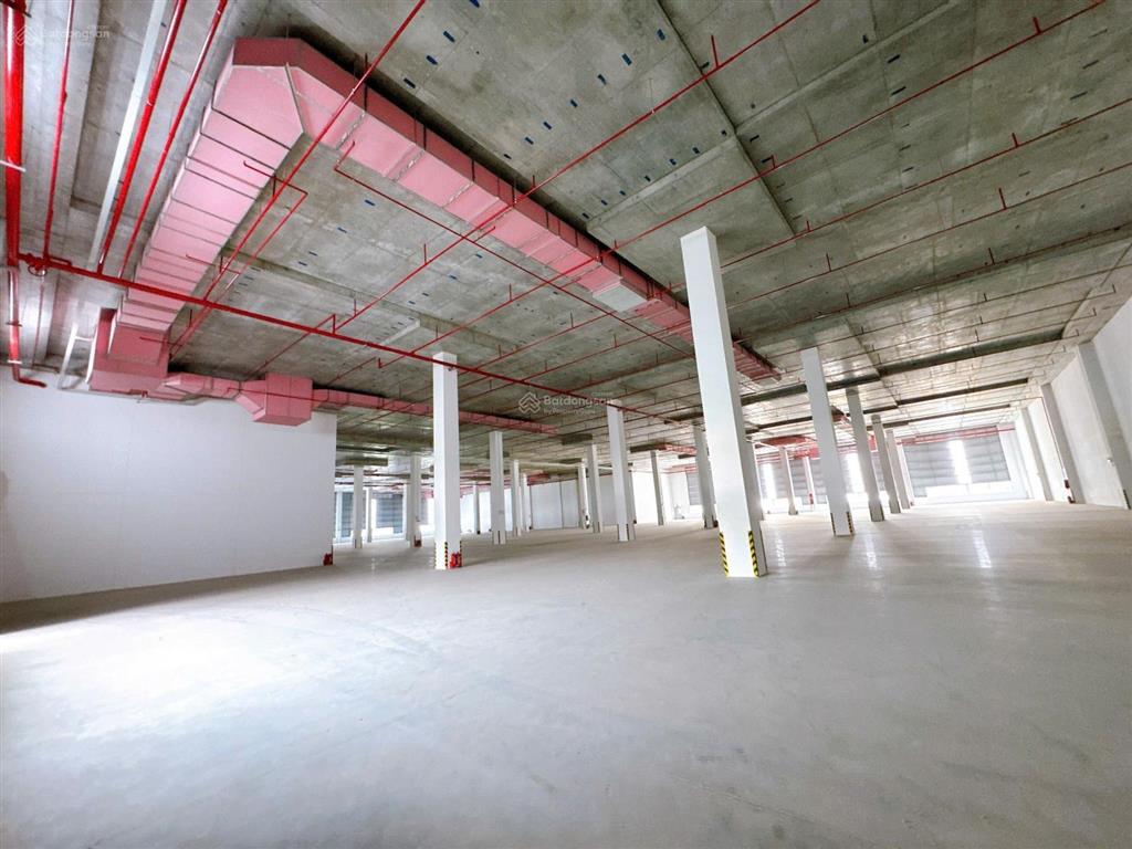 Cho thuê kho xưởng tổng 11.000m2. có cho thuê lẻ. pccc sprinkler tiêu chuẩn quốc tế
