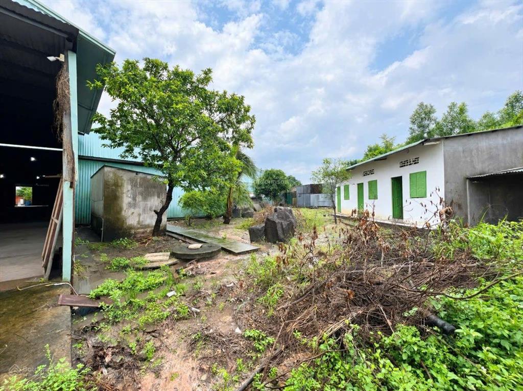 Cho thuê xưởng sx 2800m2 tdt 5200m2. tba 250kva. pháp lý chuẩn. chỉ 150 tr/th. gần ql1a, kcn gđ