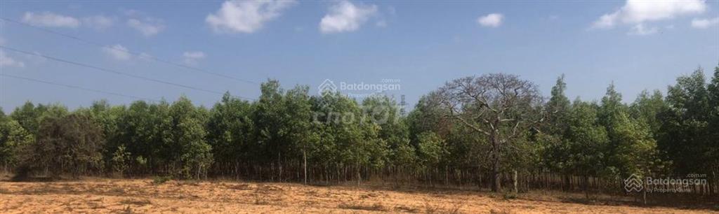 Bán gấp đất tại xã hồng thái, giá ngộp còn 495 triệu. chính chủ