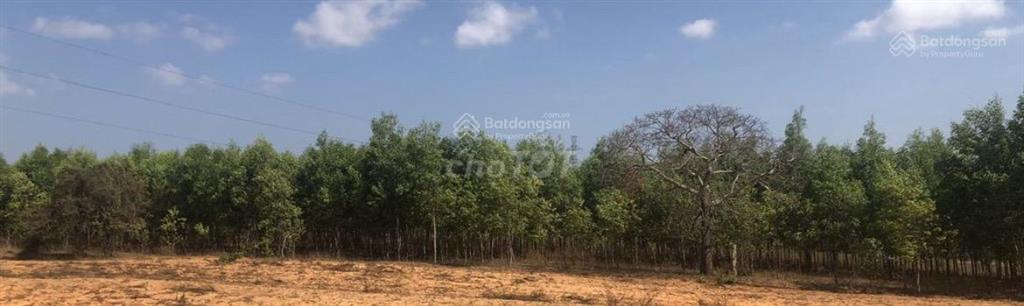 Bán đất gần quốc lộ 1a, giảm còn 690 triệu, 5000m2, sổ đỏ đầy đủ