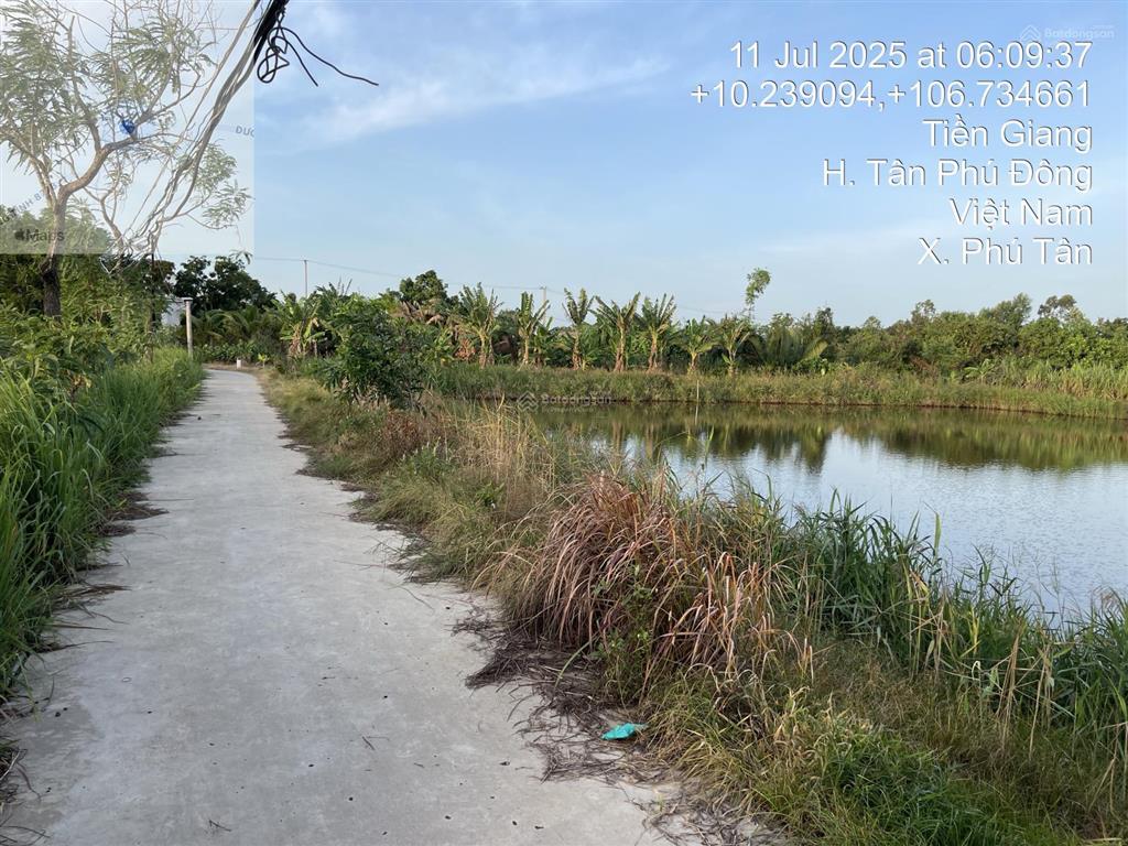 Chính chủ bán ao nuôi tôm mặt tiền đường bê tông 3,5m, cách đường tỉnh 877b 50m