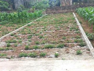 Chủ cần tiền bán gấp lô đất 66.2m tại mai động, kim động, hưng yên