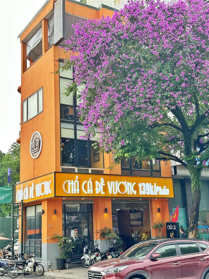 Cho thuê nhà mặt phố đào tấn, ba đình với diện tích 150m2/sàn, lô góc rộng 25m, giá chỉ 1xx triệu