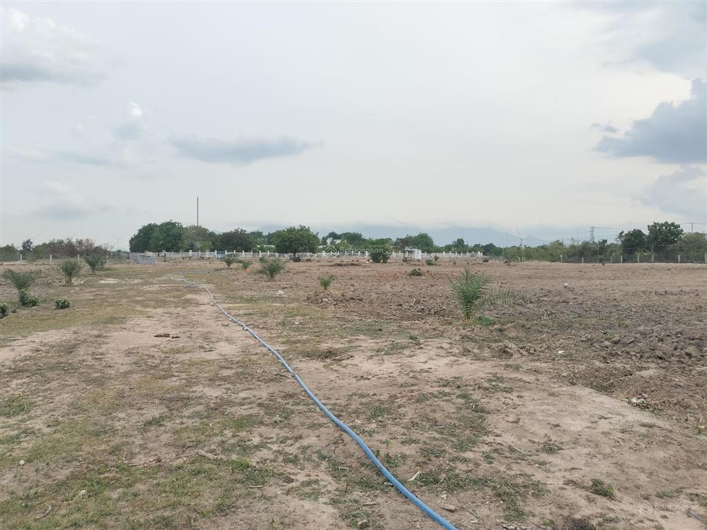 Chính chủ gửi bán lô góc mặt tiền đường nhựa 40m vị trí đắc địa ngay trung tâm xã thuận nam