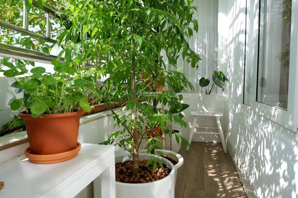 Bán ch bình minh đg lđc an khánh q2 105m2 3pn sửa 2pn 2wc view mát nhà đẹp giá 6,1 tỷ sổ hồng