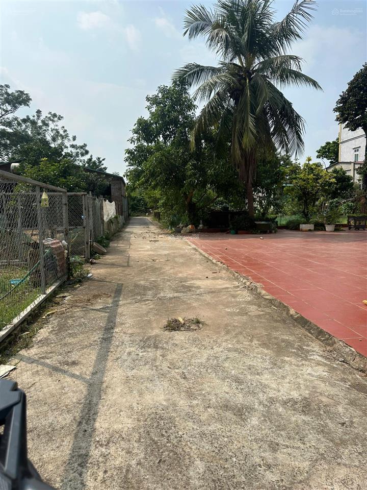 Nhỉnh 3 tỷ có ngay 64.5m trong đê tráng việt full thổ cư cách cầu thượng cát chỉ 2,5km