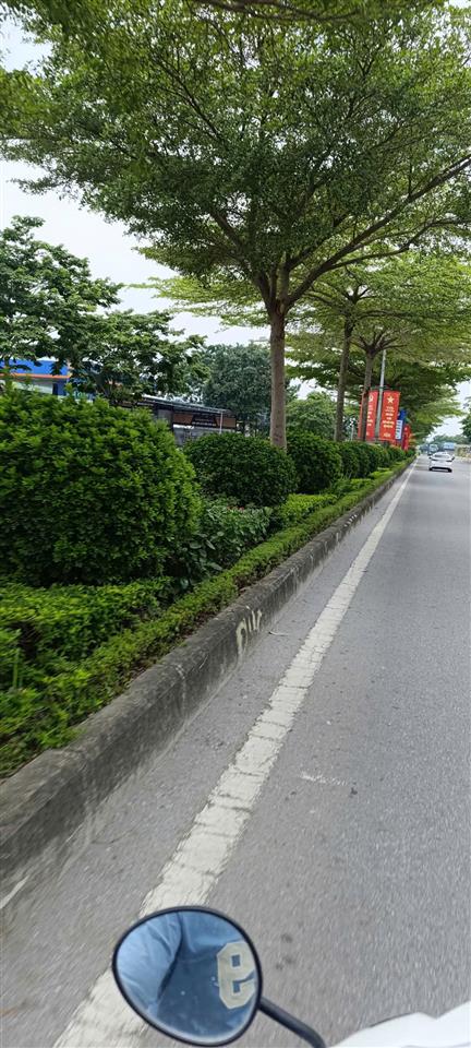 Tài chính nhỉnh 4 tỷ, bán nhanh lô làn 2 chợ gỗ trắc. 15 phút sang hồ tây.