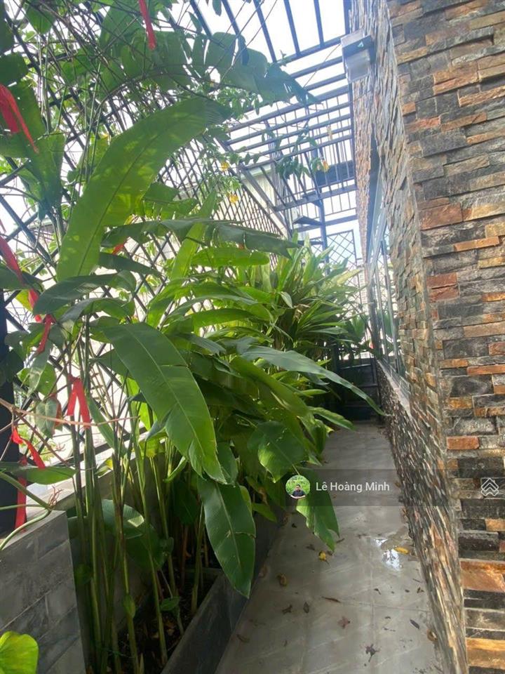Biệt thự mini 8m x 15m. 4 tầng có thang máy 650kg xây thành 2 căn 1/ lâm thị hố
