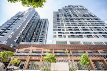 Bán gấp căn hộ d  aqua 2pn, 1wc, 54m2, view bến bình đông. giá 4,025 tỷ