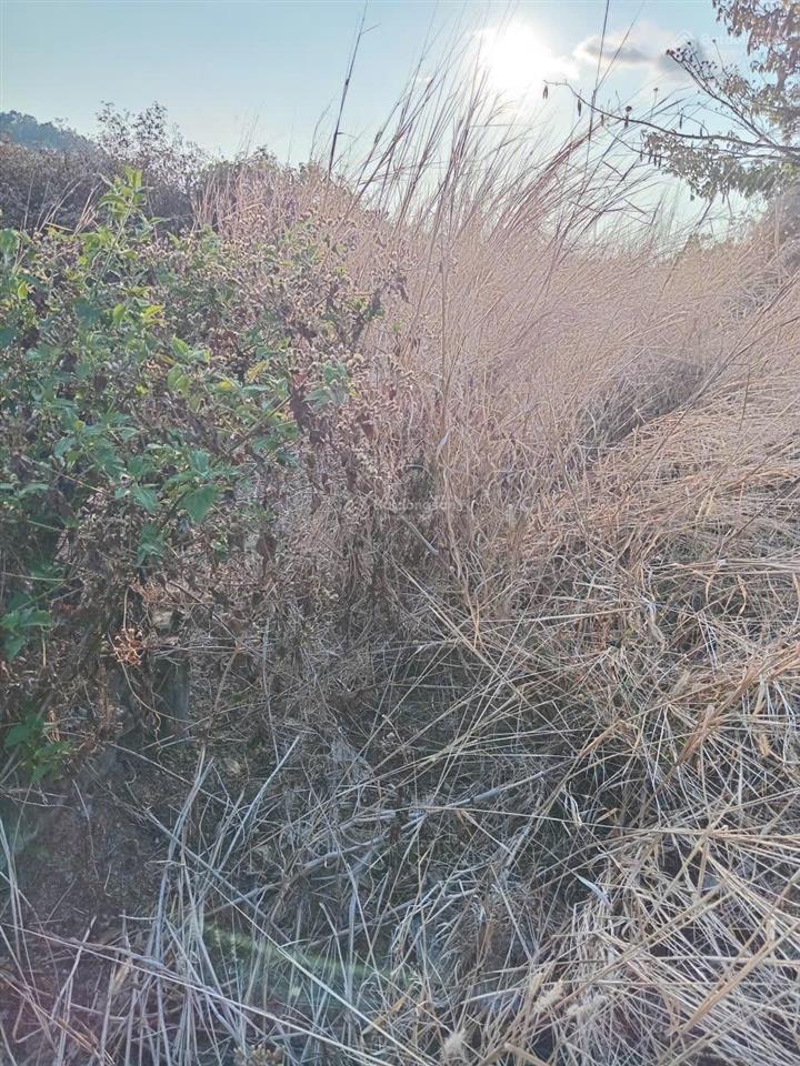 Bán đất đẹp tại ven biển quanh đảo, 12 tỷ, 985m2, nhiều tiện ích, chính chủ