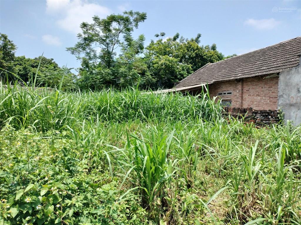 Bán đất 133m2 tại đường 310, kim long, tam dương, 750 triệu vnd