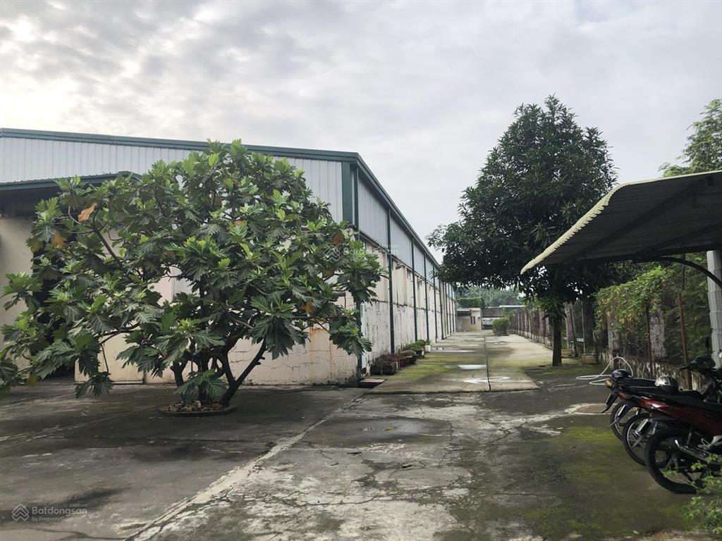 Chính chủ bán đất có nhà xưởng, trạm điện riêng 3 pha, hạ tầng hoàn chỉnh phường thuận giao