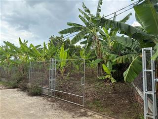 Bán gấp lô đất vườn trái cây 1400m2 view trung tâm thị trấn  gần ngã tư dầu giây