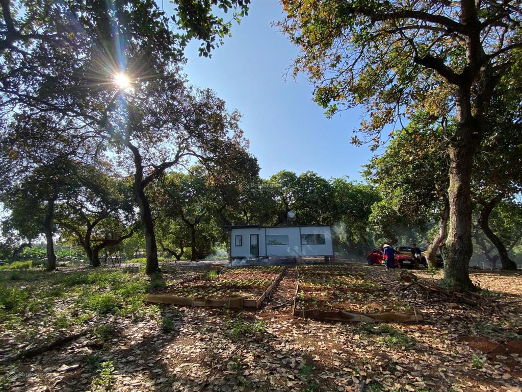 Bán gấp mảnh đất vườn trái cây view hồ trị an, đảo ó  ngang 40m  chỉ từ 990tr