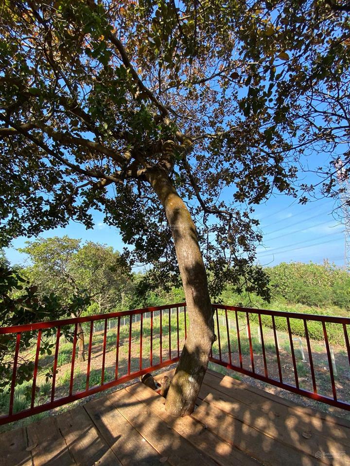 Bán gấp mảnh đất vườn trái cây view hồ trị an, đảo ó  ngang 40m  chỉ từ 990tr