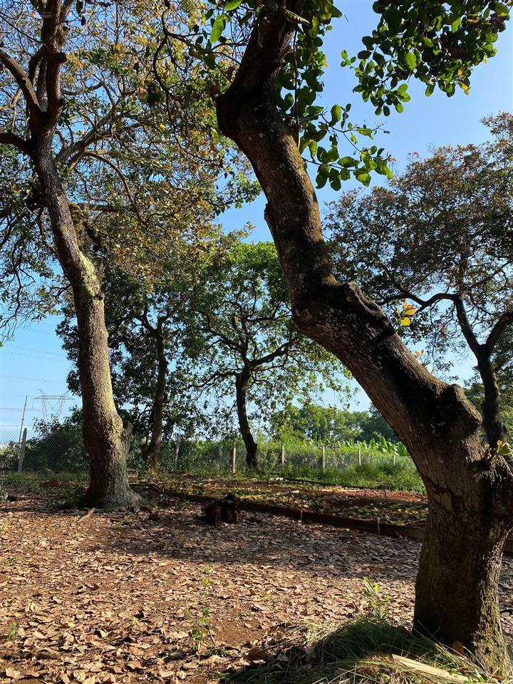 Bán gấp mảnh đất vườn trái cây view hồ trị an, đảo ó  ngang 40m  chỉ từ 990tr