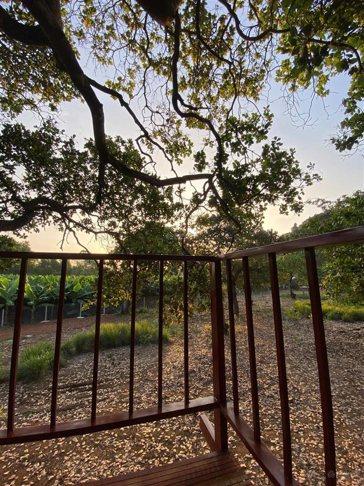 Bán gấp mảnh đất vườn trái cây view hồ trị an, đảo ó  ngang 40m  chỉ từ 990tr