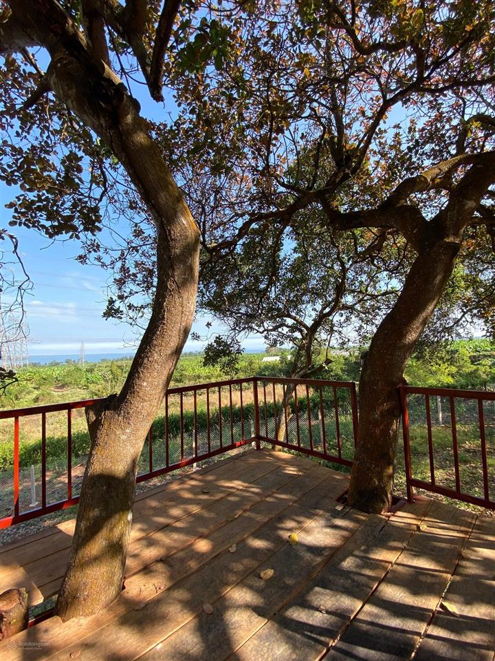 Bán gấp mảnh đất vườn trái cây view hồ trị an, đảo ó  ngang 40m  chỉ từ 990tr